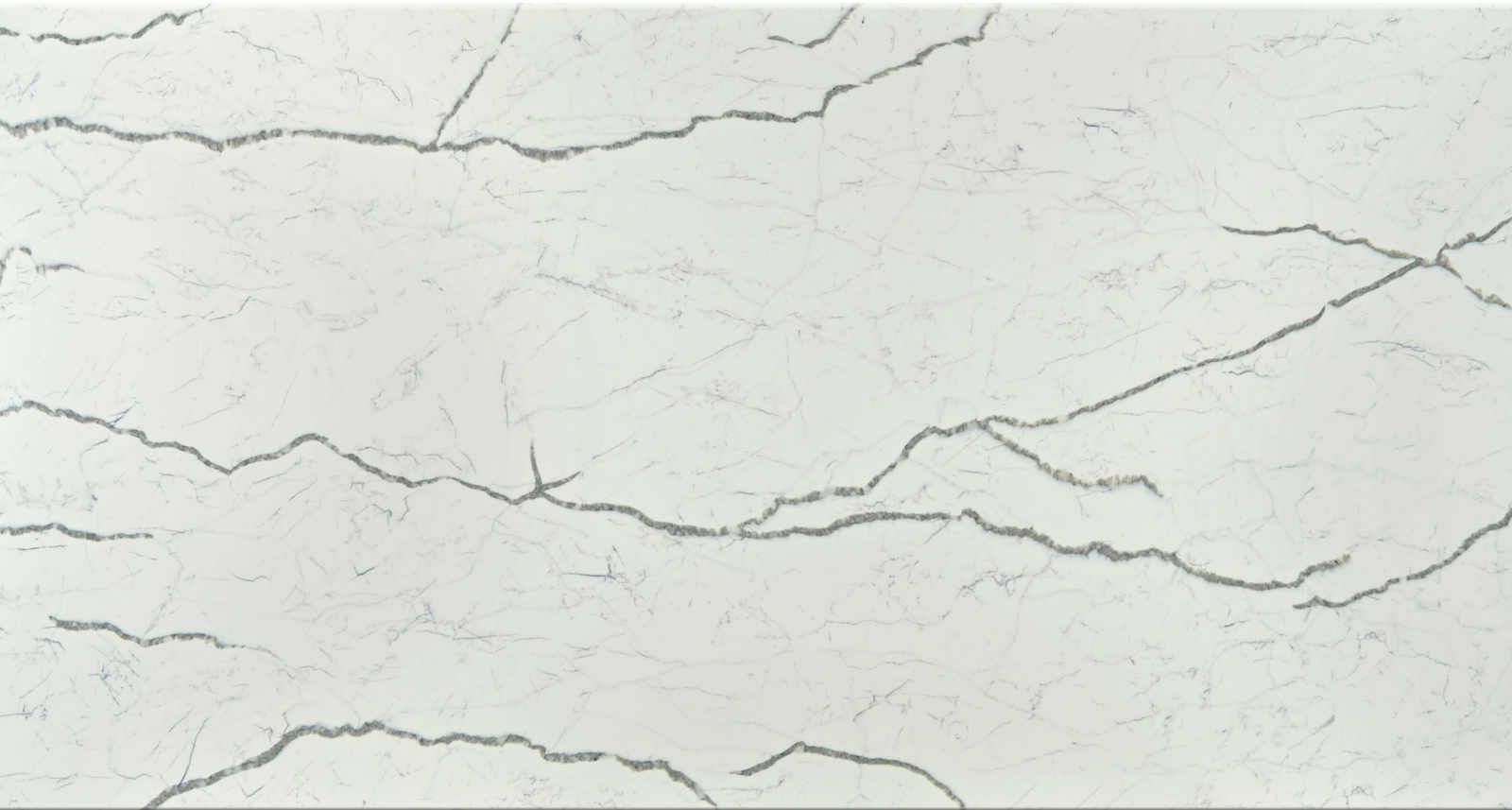 Astonia Grey (full body)